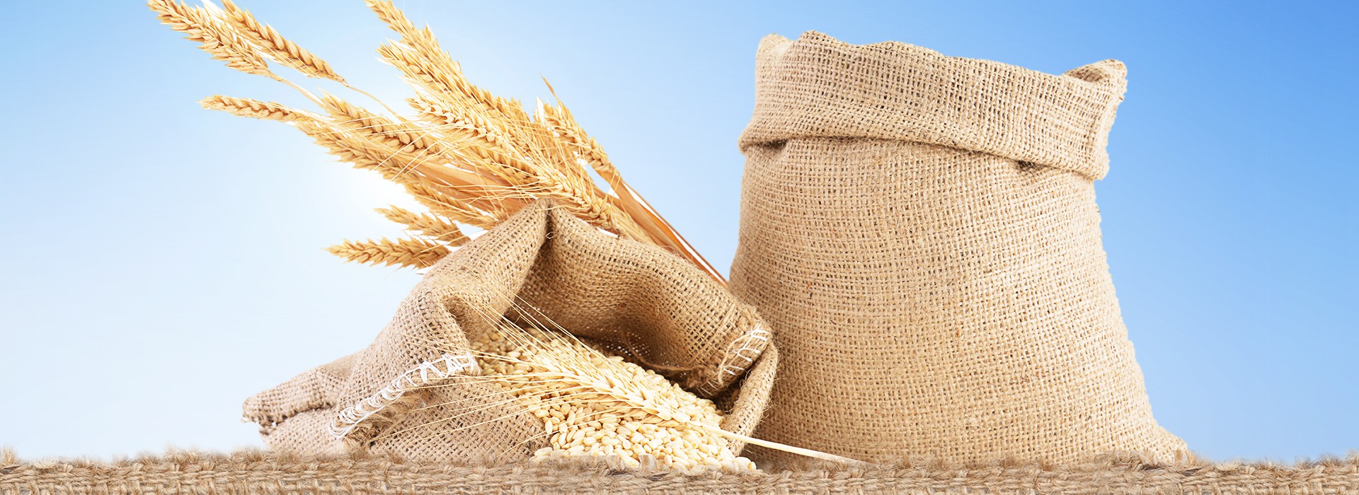         JUTE & KOKOS